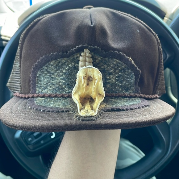 Other | Vintage Real Rattle Snake Hat | Poshmark